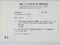 登錄號:F0017967藏品圖，第2張