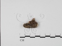 登錄號:F0017967藏品圖，第4張