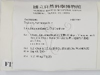 館號:F0017969藏品圖，第2張