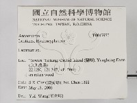 登錄號:F0017970藏品圖，第2張