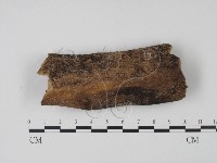 登錄號:F0017970藏品圖，第1張