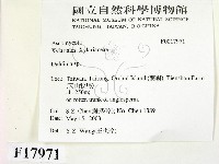 登錄號:F0017971藏品圖，第2張