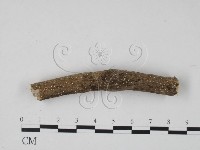 登錄號:F0017972藏品圖，第3張
