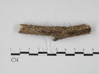 登錄號:F0017972藏品圖，第4張