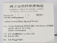 登錄號:F0017973藏品圖，第2張