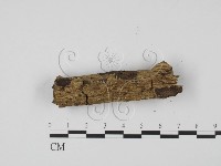 登錄號:F0017973藏品圖，第3張