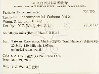 登錄號:F0017974藏品圖，第2張