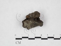 登錄號:F0017974藏品圖，第1張
