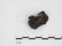登錄號:F0017974藏品圖，第3張