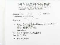 禿馬勃屬藏品圖，第2張