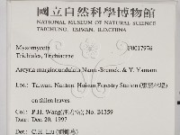 登錄號:F0017976藏品圖，第2張
