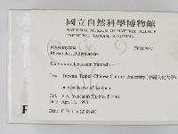 登錄號:F0017977藏品圖，第2張
