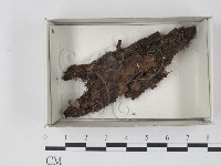 登錄號:F0017978藏品圖，第1張