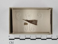 登錄號:F0017980藏品圖，第1張