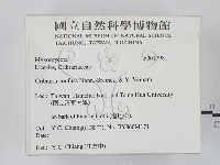 登錄號:F0017981藏品圖，第2張