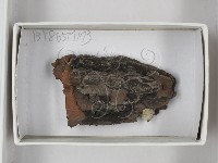 登錄號:F0017982藏品圖，第1張