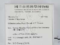 登錄號:F0017983藏品圖，第2張