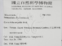 登錄號:F0017984藏品圖，第2張