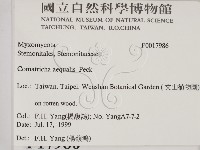 登錄號:F0017986藏品圖，第2張