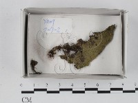 登錄號:F0017986藏品圖，第1張