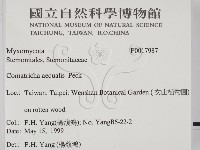 登錄號:F0017987藏品圖，第2張