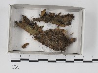 登錄號:F0017987藏品圖，第1張