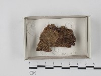 登錄號:F0017988藏品圖，第1張