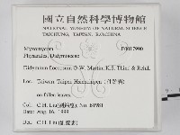 登錄號:F0017990藏品圖，第2張