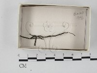 登錄號:F0017993藏品圖，第1張