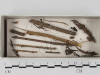 登錄號:F0017995藏品圖，第1張