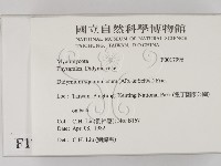 登錄號:F0017996藏品圖，第2張