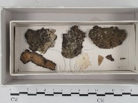 登錄號:F0017996藏品圖，第3張