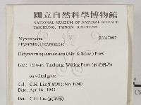 登錄號:F0017997藏品圖，第2張