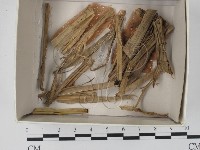 登錄號:F0017997藏品圖，第1張