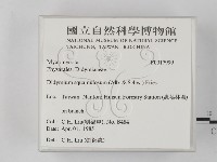 登錄號:F0017999藏品圖，第2張