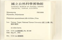 登錄號:F0018000藏品圖，第2張