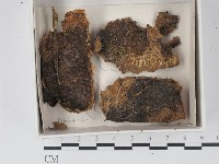 登錄號:F0018002藏品圖，第1張
