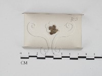 登錄號:F0018004藏品圖，第1張