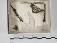 登錄號:F0018009藏品圖，第1張