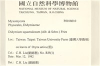 登錄號:F0018010藏品圖，第2張