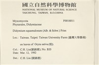 登錄號:F0018011藏品圖，第2張