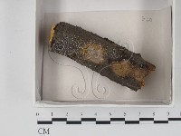 登錄號:F0018012藏品圖，第1張