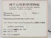 登錄號:F0018013藏品圖，第2張