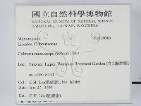 登錄號:F0018016藏品圖，第2張
