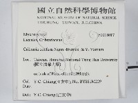 登錄號:F0018017藏品圖，第2張