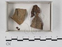 登錄號:F0018019藏品圖，第1張