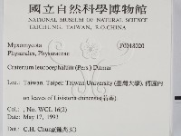 登錄號:F0018020藏品圖，第2張