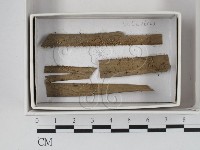 登錄號:F0018020藏品圖，第1張
