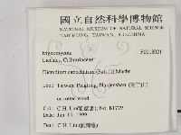 登錄號:F0018021藏品圖，第2張