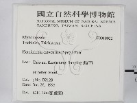 登錄號:F0018022藏品圖，第2張